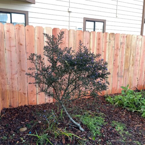 WhatsApp Image 2025-02-24 at 1.49.13 PM (1)