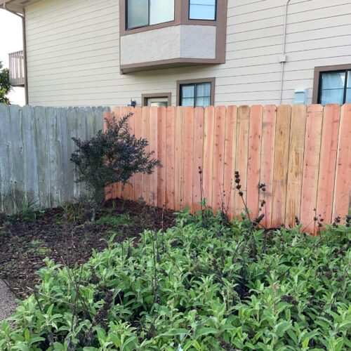 WhatsApp Image 2025-02-24 at 1.49.13 PM