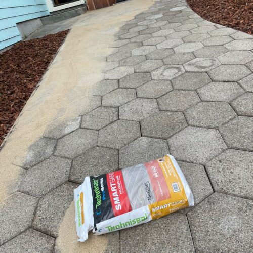 WhatsApp Image 2025-02-24 at 1.49.29 PM (1)