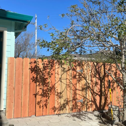 WhatsApp Image 2025-02-24 at 1.49.29 PM (3)