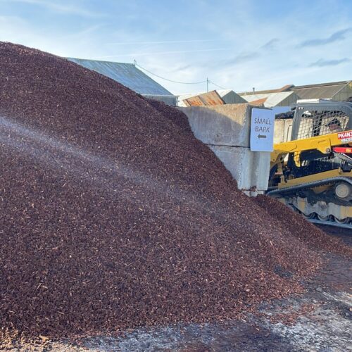 WhatsApp Image 2025-02-24 at 1.49.29 PM