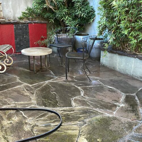 WhatsApp Image 2025-02-24 at 1.49.30 PM (1)