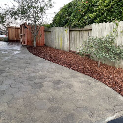 WhatsApp Image 2025-02-24 at 1.49.30 PM (2)