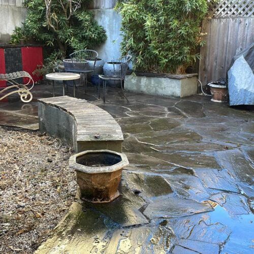 WhatsApp Image 2025-02-24 at 1.49.30 PM (3)