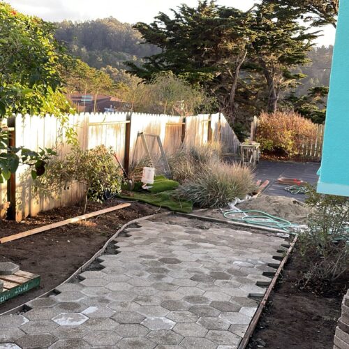 WhatsApp Image 2025-02-24 at 1.49.32 PM (1)